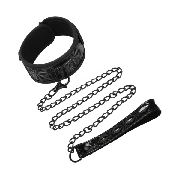 Whipsmart Collar & Leash Set