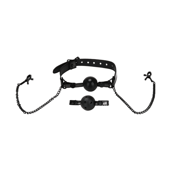 Whipsmart Ball Gag & Nipple Clips