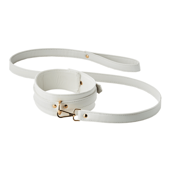 Dream Toys Blaze - Elite Collar and Leash