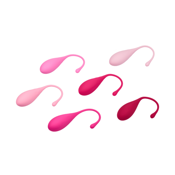 FeelzToys Femmefit - Pelvic Floor Muscle Training Set