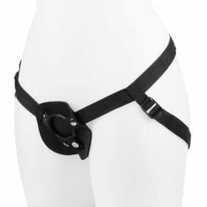 EIS Harness für Einsteiger