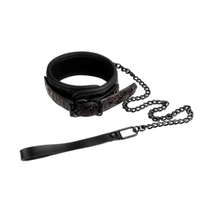 Dream Toys Collar and Leash